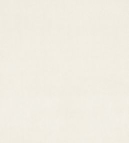Alvar Fabric by Clarke & Clarke Snow