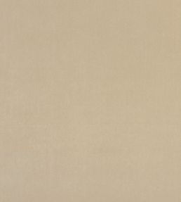 Alvar Fabric by Clarke & Clarke Flaxen