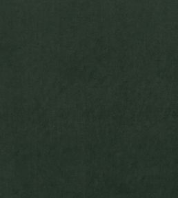 Alvar Fabric by Clarke & Clarke Forest