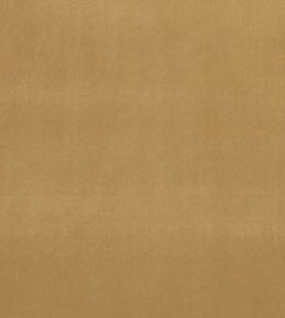 Alvar Fabric by Clarke & Clarke Harvest