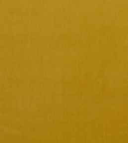 Alvar Fabric by Clarke & Clarke Honey