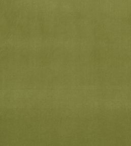 Alvar Fabric by Clarke & Clarke Leaf