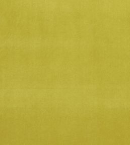 Alvar Fabric by Clarke & Clarke Lime