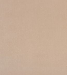Alvar Fabric by Clarke & Clarke Nude