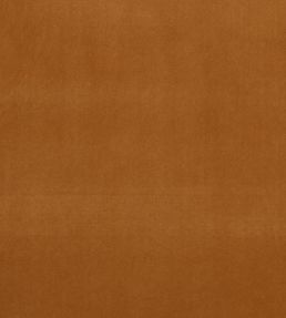 Alvar Fabric by Clarke & Clarke Nutmeg