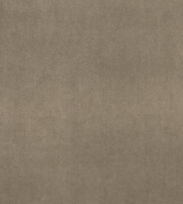 Alvar Fabric by Clarke & Clarke Oak