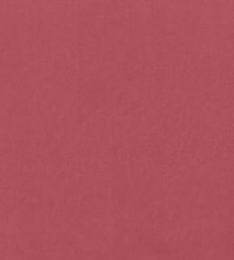 Alvar Fabric by Clarke & Clarke Peony