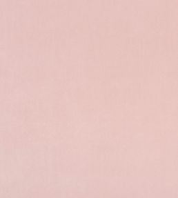 Alvar Fabric by Clarke & Clarke Petal