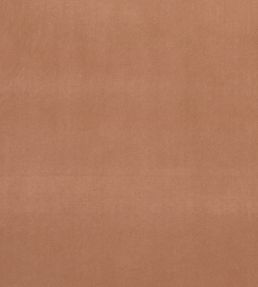 Alvar Fabric by Clarke & Clarke Sienna