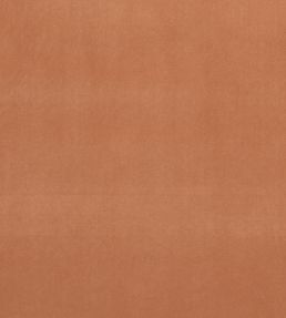 Alvar Fabric by Clarke & Clarke Tamarind