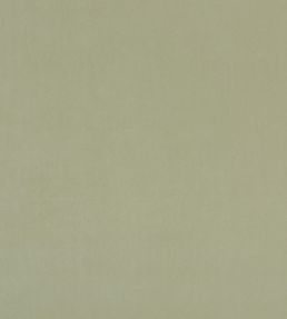 Alvar Fabric by Clarke & Clarke Thyme