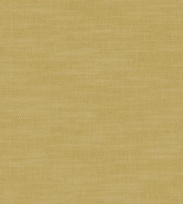 Amalfi Fabric by Clarke & Clarke Buttercup