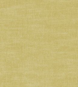 Amalfi Fabric by Clarke & Clarke Chartreuse