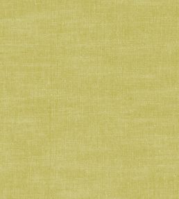 Amalfi Fabric by Clarke & Clarke Citron