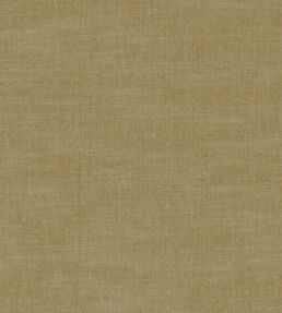 Amalfi Fabric by Clarke & Clarke Olive