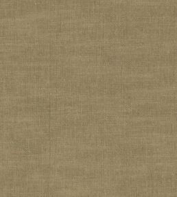 Amalfi Fabric by Clarke & Clarke Truffle