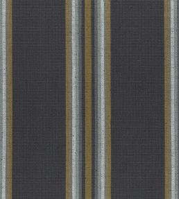 Imani Fabric by Clarke & Clarke Charcoal/Cinnamon