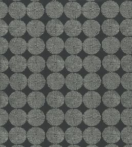 Kiko Fabric by Clarke & Clarke Charcoal