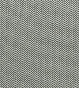 Zalika Fabric by Clarke & Clarke Charcoal