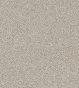Mason Fabric by Clarke & Clarke Ivory