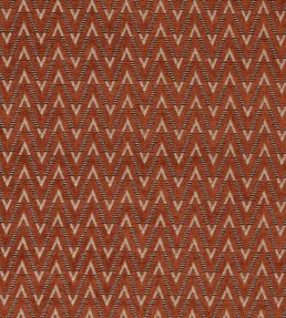 Zion Fabric by Clarke & Clarke Spice
