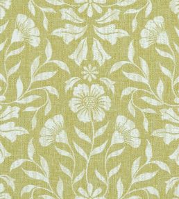 Berkeley Fabric by Clarke & Clarke Citron