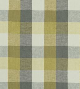 Austin Check Fabric by Clarke & Clarke Citron/Natural
