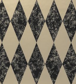 Tortola Wallpaper by Clarke & Clarke Charcoal