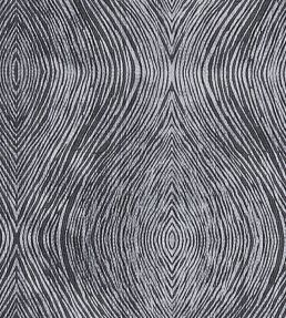 Luster Fabric by Clarke & Clarke Charcoal