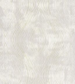 Luster Fabric by Clarke & Clarke Ivory