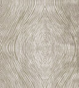 Luster Fabric by Clarke & Clarke Mocha