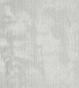 Luster Fabric by Clarke & Clarke Silver
