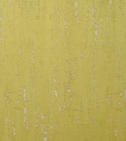 Aurora Fabric by Clarke & Clarke Citrus