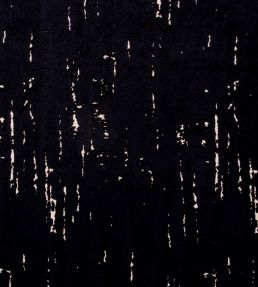 Aurora Fabric by Clarke & Clarke Ebony