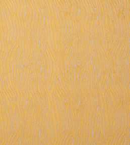 Onda Fabric by Clarke & Clarke Gold
