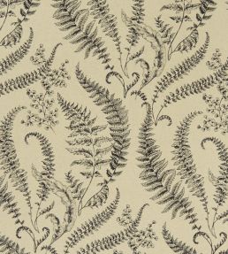 Folium Fabric by Clarke & Clarke Linen