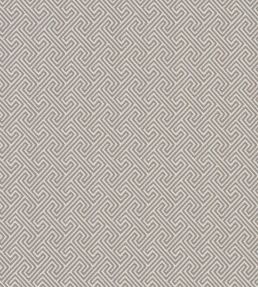 Mercury Fabric by Clarke & Clarke Mocha