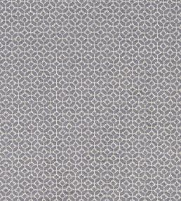 Orbit Fabric by Clarke & Clarke Charcoal