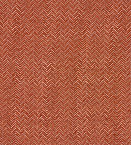 Trinity Fabric by Clarke & Clarke Spice