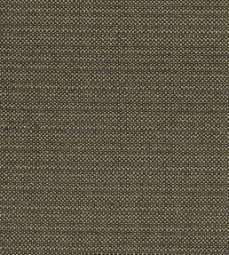 Kauai Fabric by Clarke & Clarke Charcoal