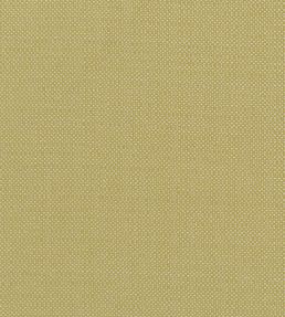 Kauai Fabric by Clarke & Clarke Citron