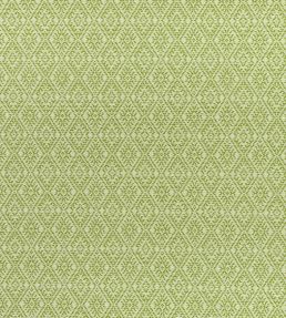 Hampstead Fabric by Clarke & Clarke Apple