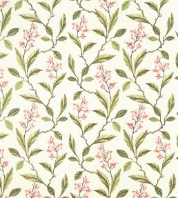 Melrose Fabric by Clarke & Clarke Pink / Apple