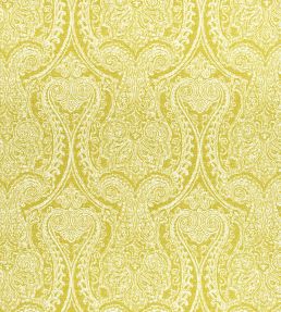 Pastiche Fabric by Clarke & Clarke Chartreuse