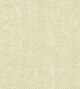 Ashmore Fabric by Clarke & Clarke Citron