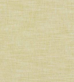 Milton Fabric by Clarke & Clarke Citron