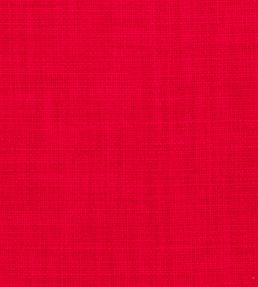 Linoso II Fabric by Clarke & Clarke Cranberry
