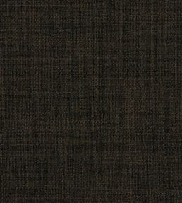 Linoso II Fabric by Clarke & Clarke Earth