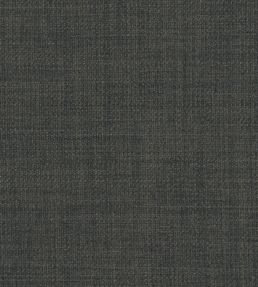 Linoso II Fabric by Clarke & Clarke Smoke