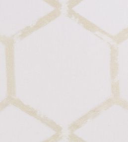 Forma Fabric by Clarke & Clarke Champagne